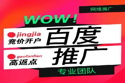 SEM托管优化案例：打造精准广告投放策略